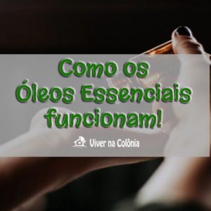 Como os Óleos Essenciais funcionam